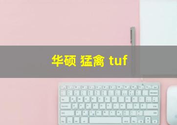 华硕 猛禽 tuf